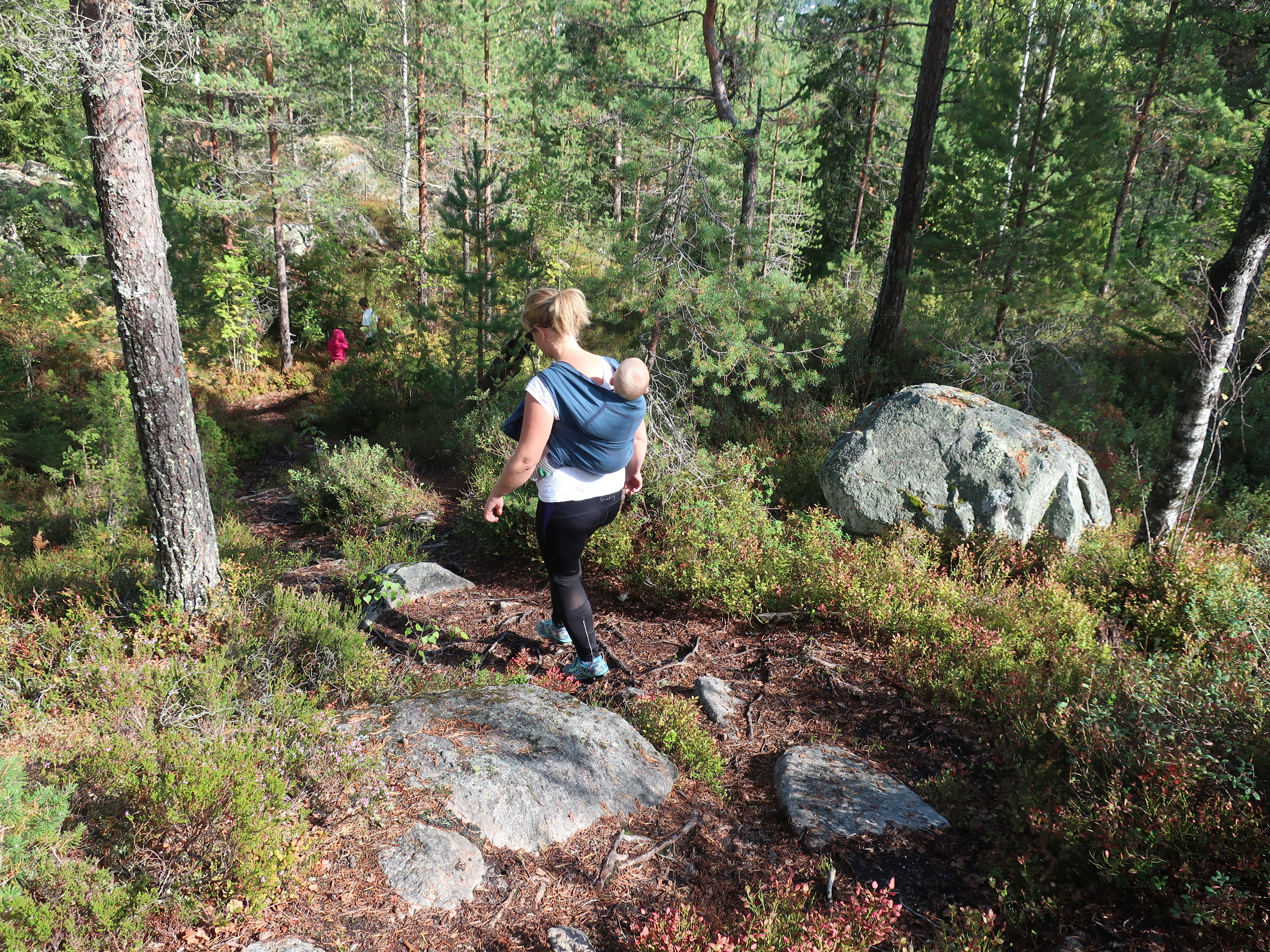 Bidra med lokale tips image